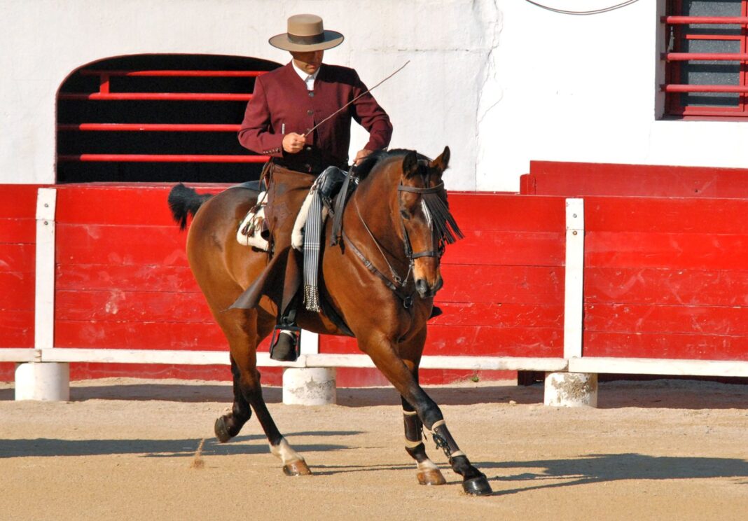 Bo sur Odin de the Top palavas 2010 red