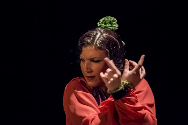 http://www.le-journal-catalan.com/perpignan/2015-rivesaltes-pre…damor-flamenco