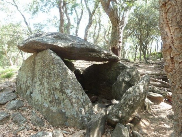 siureda