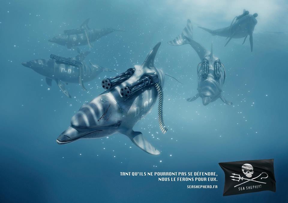 Exclusivité  : Sea Shepherd Perpignan [interview]