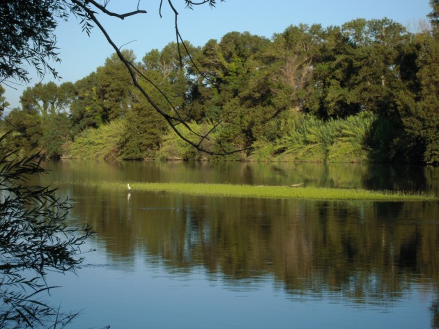 argeles-sur-mer-reserve-naturelle-du-mas-larrieu-exposition-et-conference-du-20-mars-au-7-avril-1