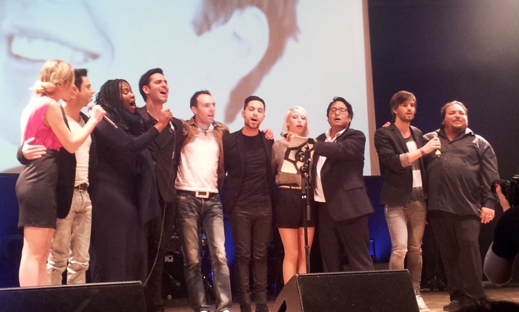 rivesaltes-gregory-bakian-reuni-les-artistes-au-profit-de-lassociation-gregory-lemarchal