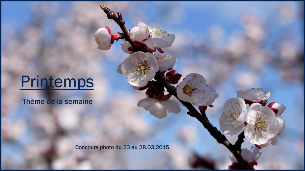 concours 23.28
