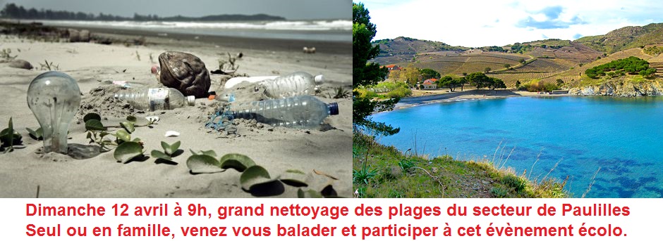 Grand nettoyage pédestre des plages de Paulilles