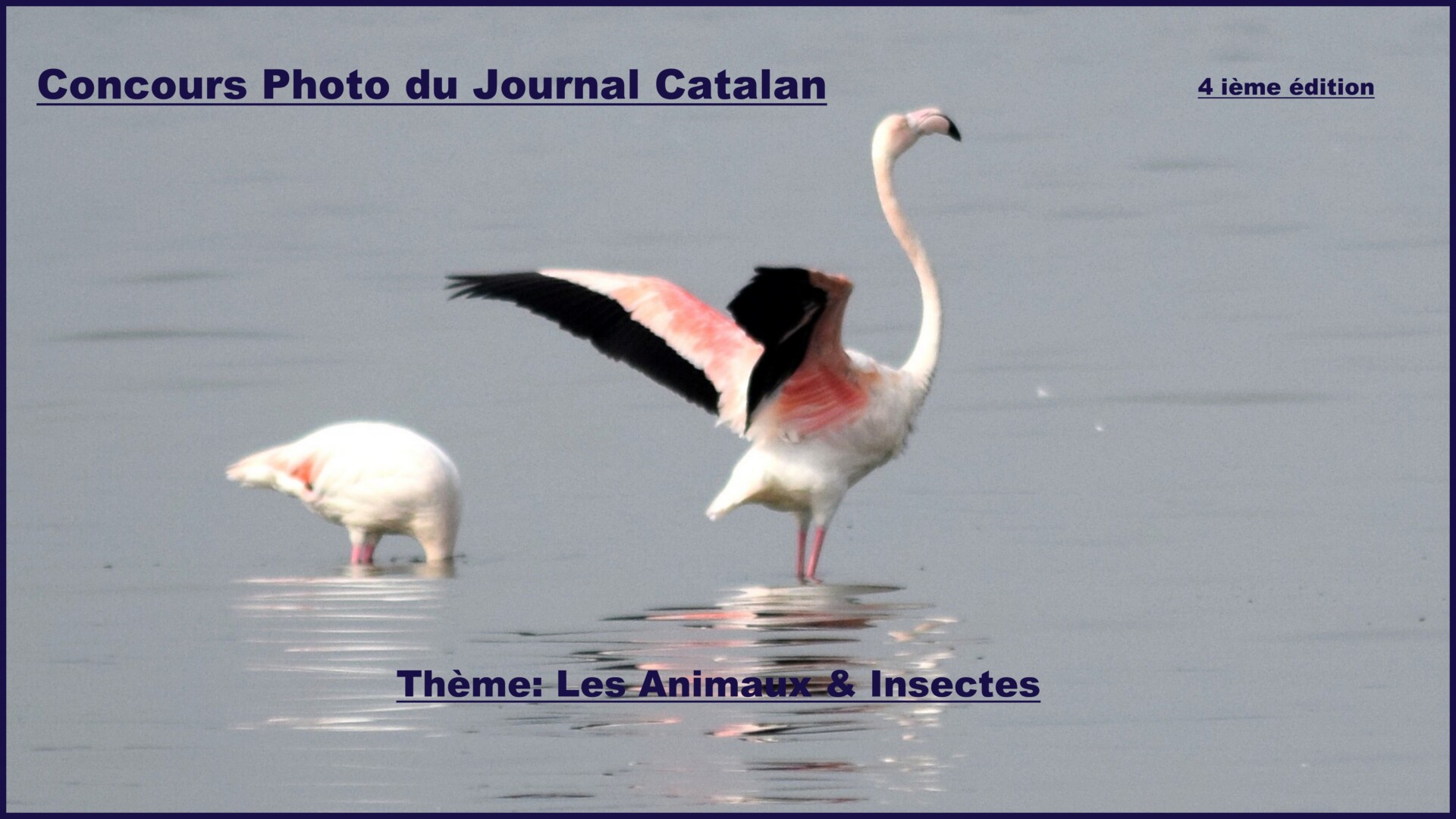 Concours Photo Le Journal Catalan : Thème 4