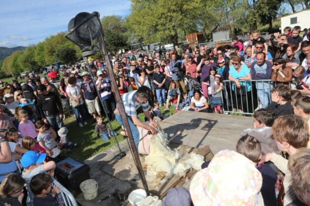 argeles-sur-mer-14e-foire-des-eleveurs-le-12-avril