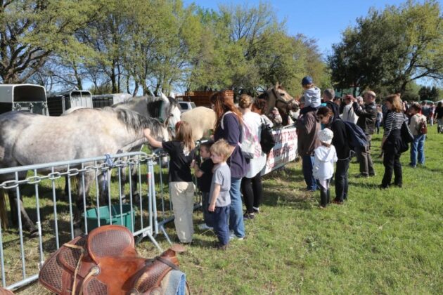 argeles-sur-mer-14e-foire-des-eleveurs-le-12-avril