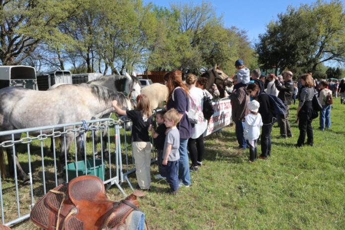 argeles-sur-mer-14e-foire-des-eleveurs-le-12-avril