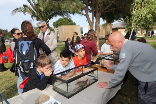 argeles-sur-mer-la-7eme-edition-de-enfants-de-la-mer-est-lancee