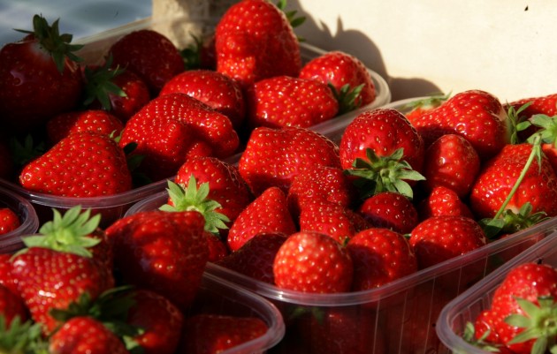le-soler-la-fete-de-la-fraise-celebre-larrivee-des-beaux-jours-dimanche-26-avril-2015