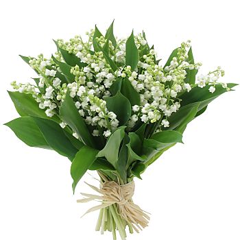 Vente du muguet demain et législation