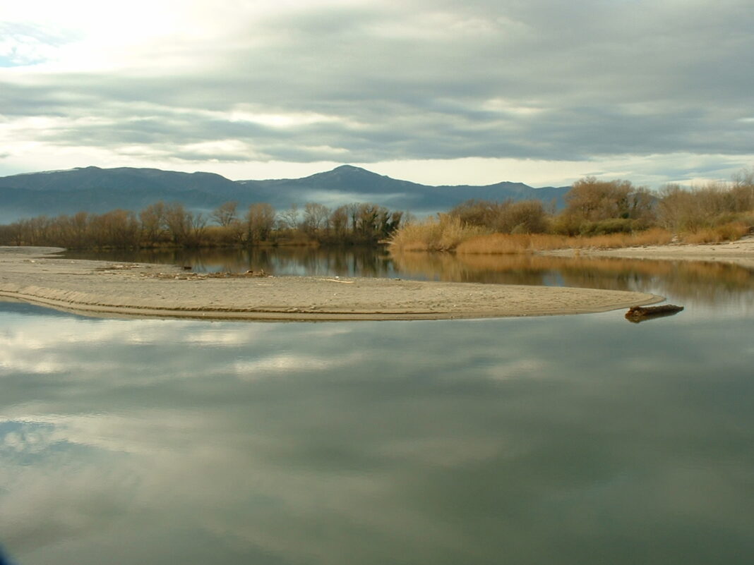 Embouchure-Tech-albera-argeles-sur-mer-la-reserve-naturelle-du-mas-larrieu argeles-sur-mer-la-reserve-naturelle-du-mas-larrieu