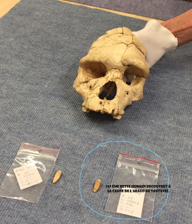 histoire-de-dents-a-tautavel