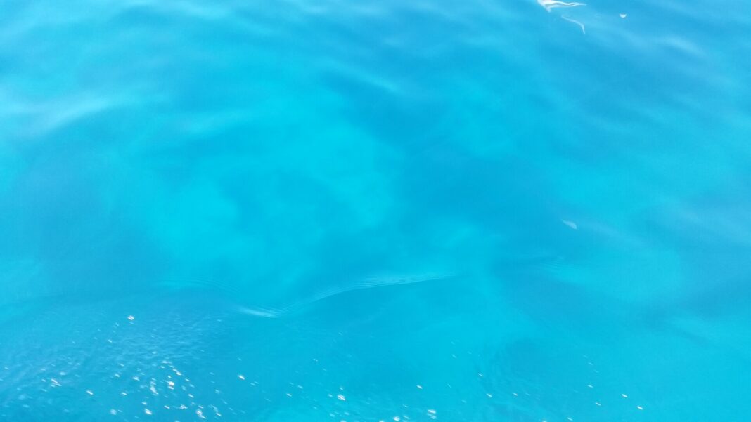 20150628_110850