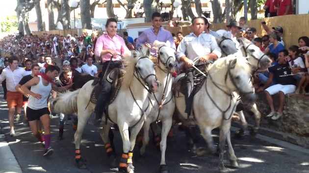 feria-de-millas