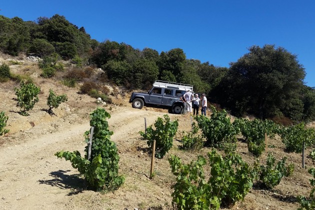 wine-safari-a-riberach