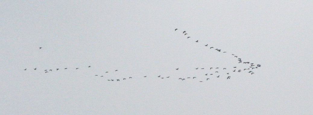 A Montesquieu-des-Albères, un ciel gris mais vivant