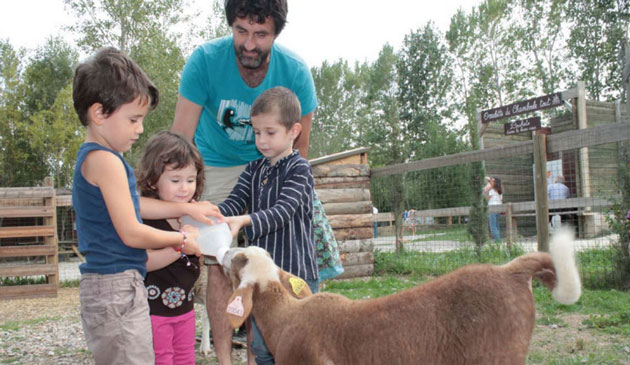 ferme-de-decouverte-saint-andre-actualites-dautomne