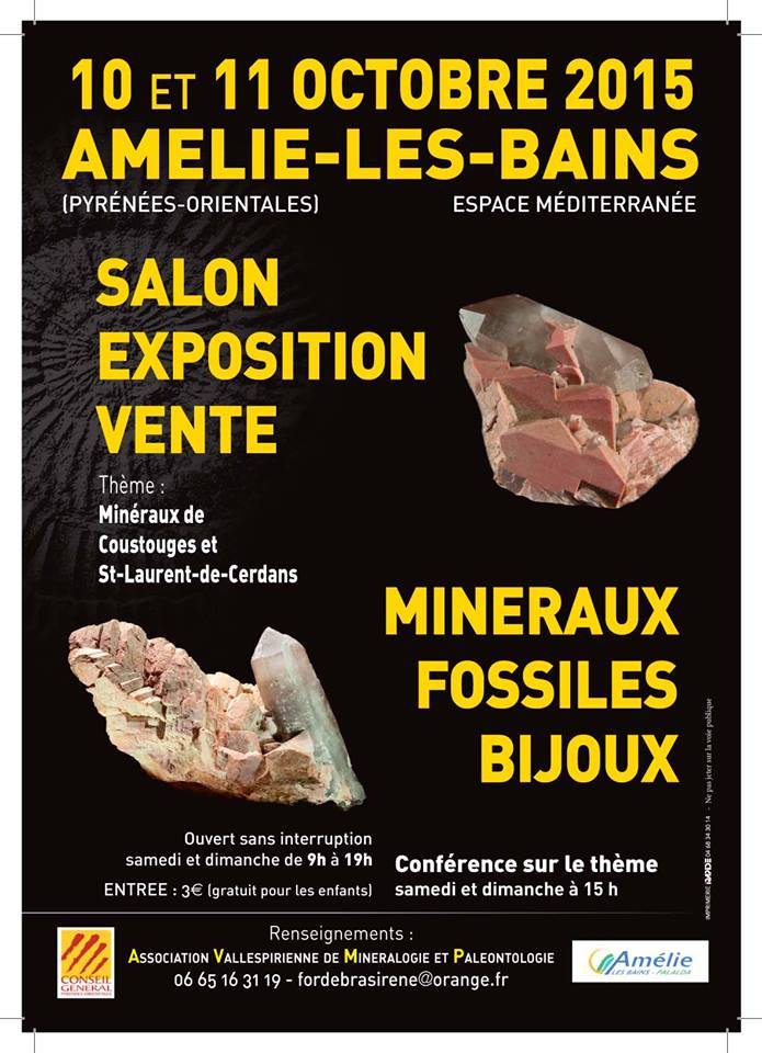 Amélie les bains : Salon minéraux, fossiles et bijoux