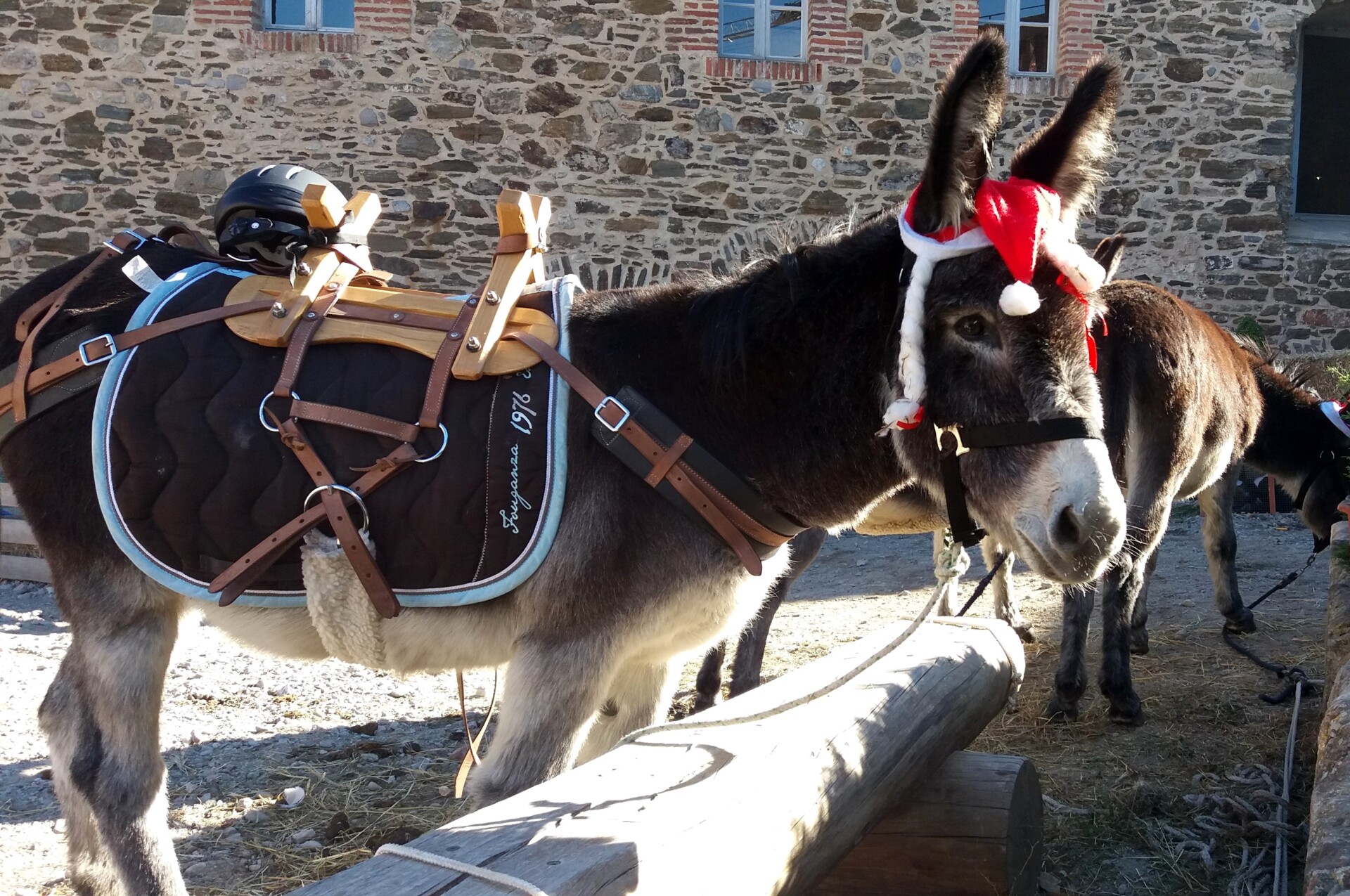 Photos du jour dans la cour de Noël à Collioure : Entrée gratuite