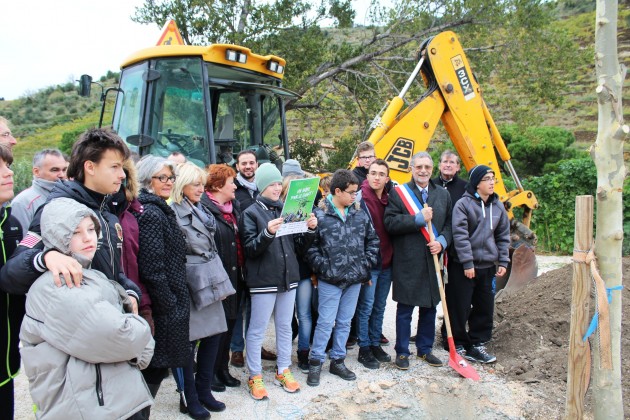 Port-Vendres : Un arbre pour le climat