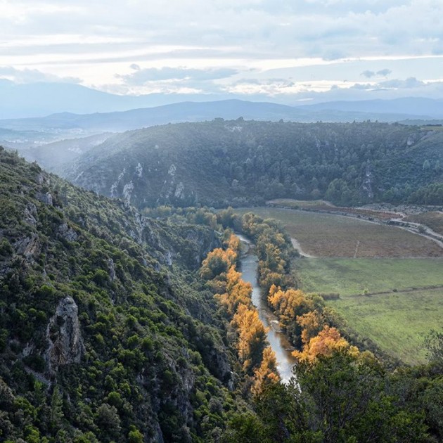 « ONF et gestion des forêts et du patrimoine faunistique Catalan »par Jean-Paul Martin