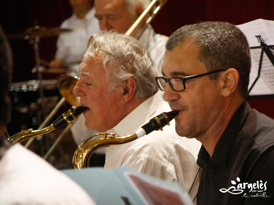 lyre_argelesienne_22_11_2015 (7)