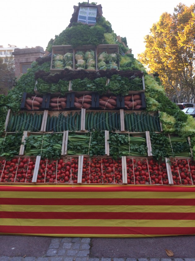 Perpignan : 59éme congrès des producteurs de légumes de France
