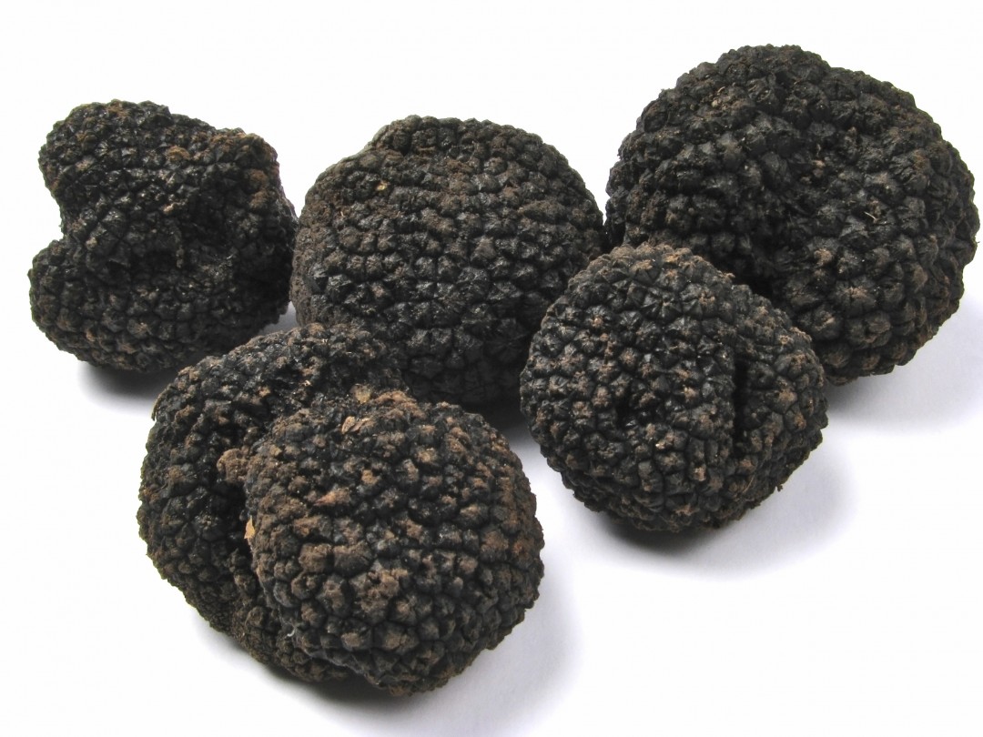 Arles sur tech : fête de la truffe