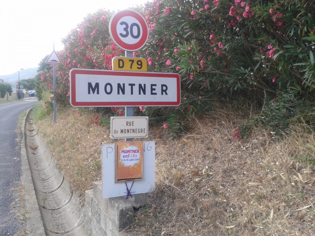 Montner Montner