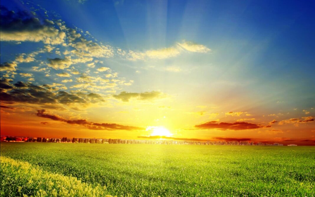 nature