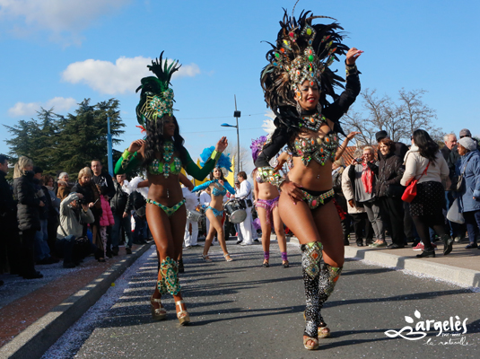 Carnaval d'Argeles - Cavalcade de nuit et bal de cloture