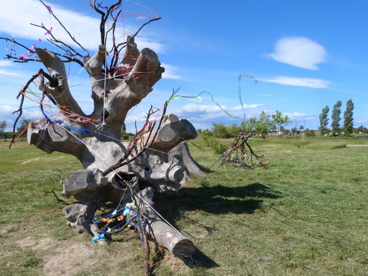 FETE DE LA NATURE