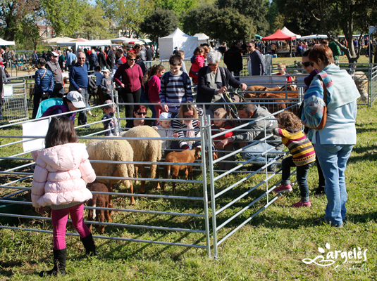 Organisée le 10 avril par le syndicat des éleveurs des Aspres et Albères, la chambre d'agriculture et la Ville d'Argelès-sur-Mer, la 15e foire des éleveurs s'est déroulée sur le parking du Racou. Une trentaine de producteurs et autant d'exposants ont participé à ce temps fort du calendrier des animations argelésiennes. Plusieurs milliers de personnes se sont déplacées pour l'occasion.