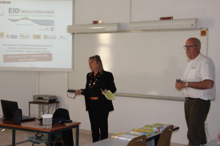 Perpignan : la Ville intensifie sa lutte contre le moustique tigre