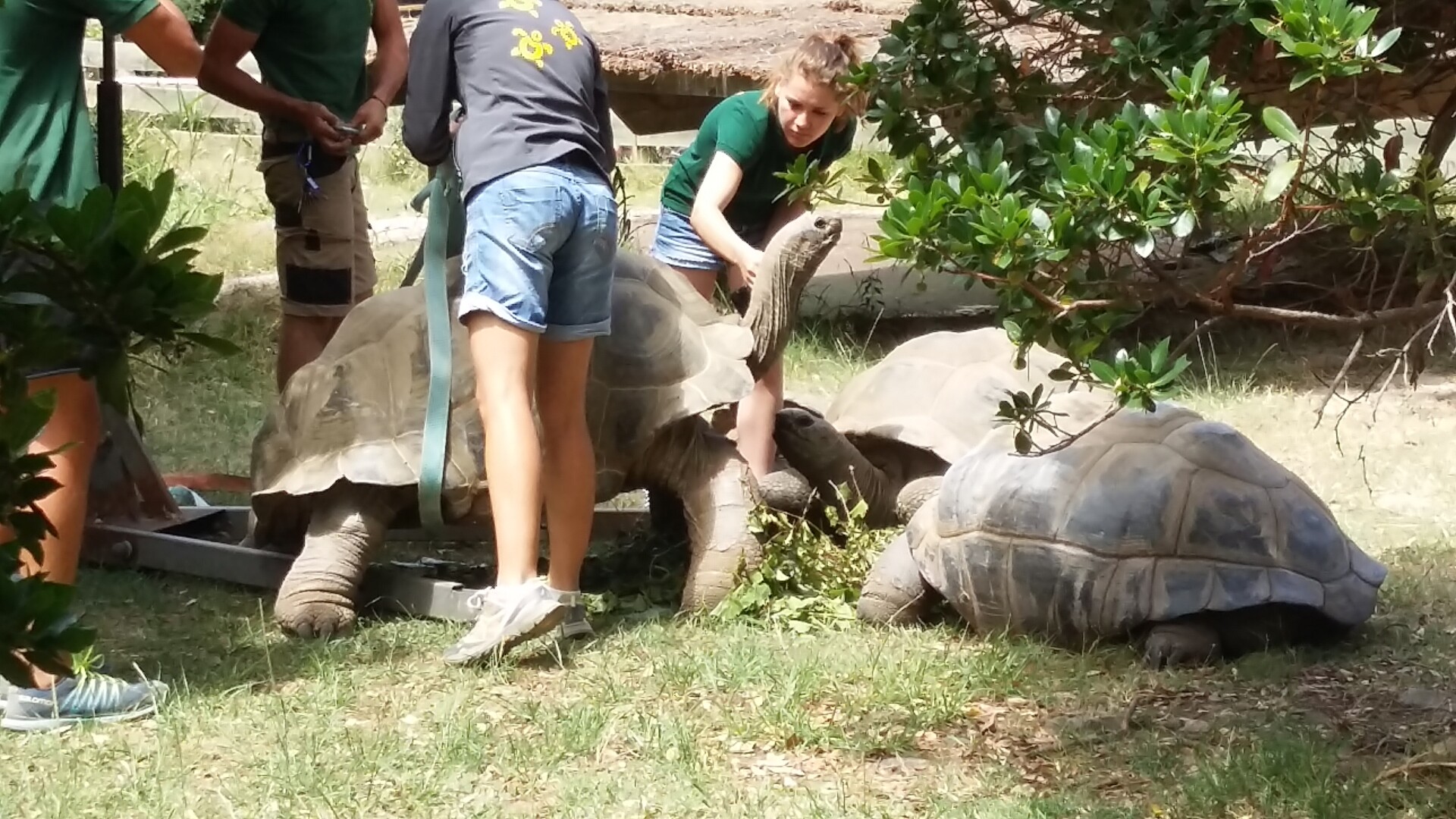 VALLEE DES TORTUES