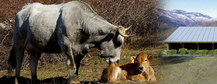 ferme-descoums-portes-ouvertes-dimanche-21-aout 2 ferme-descoums-portes-ouvertes-dimanche-21-aout