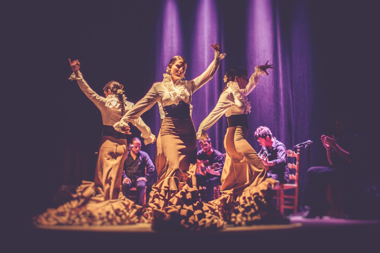 debut-inscriptions-lecole-de-flamenco-alexandre-romero