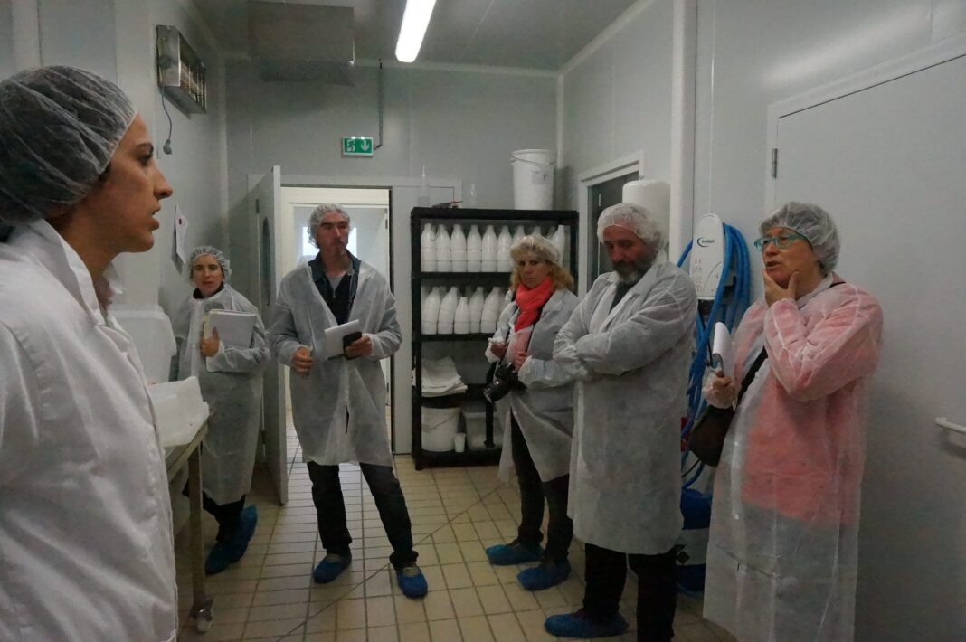 compte-rendu-de-journee-innovaction-lexemple-de-creation-de-cooperative-cimelait-a-err compte-rendu-de-journee-innovaction-lexemple-de-creation-de-cooperative-cimelait-a-err