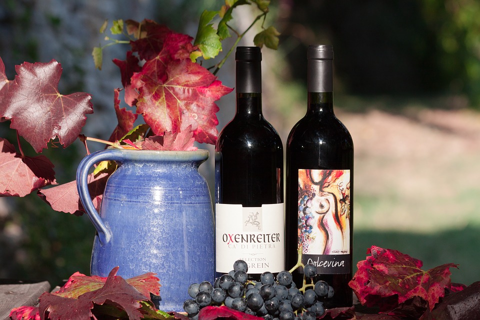 fete-vendanges-15-octobre-a-belesta