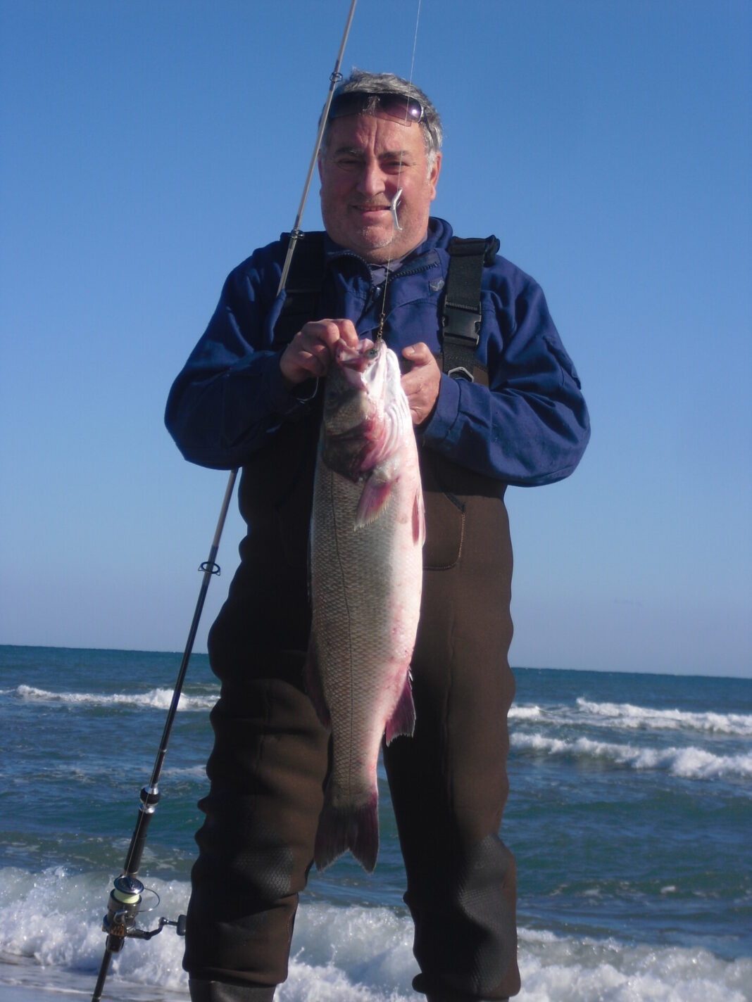 Surfcasting : Un Loup de 6,104 Kg péché entre Canet et Saint-Cyprien Surfcasting : Un Loup de 6,104 Kg péché entre Canet et Saint-Cyprien