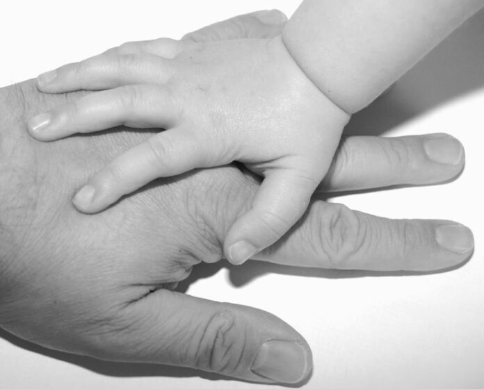 journee-detude-conference-de-gerard-neyrand-parentalite-18-janvier-a-perpignan