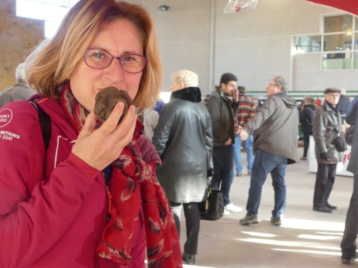marche-aux-truffes-a-arles