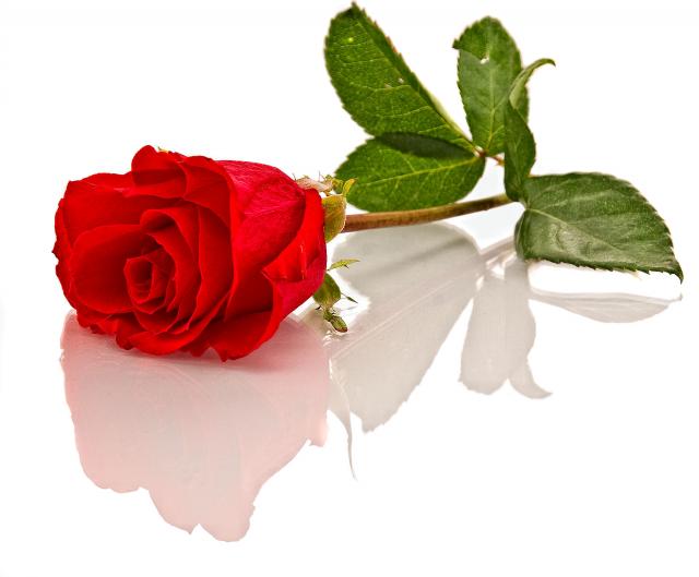 journal-catalan-souhaite-saint-valentin-signe-de-cupidon
