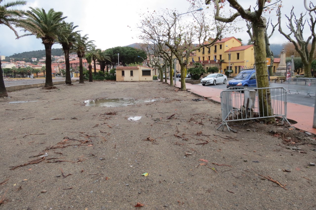Banyuls-sur-Mer : le chantier lumineux !