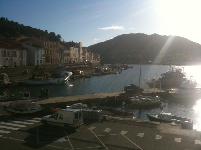 eelv-pays-catalan-soppose-vivement-a-la-construction-du-troisieme-quai-de-port-vendres
