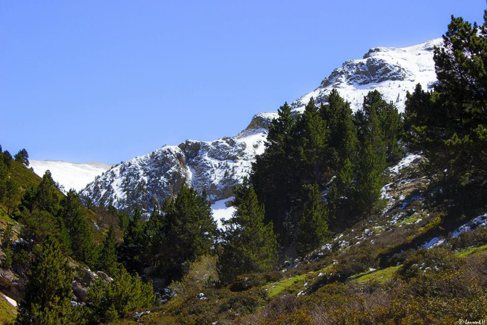 le-nouveau-blog-sur-la-vallee-deyne-vient-de-sortir