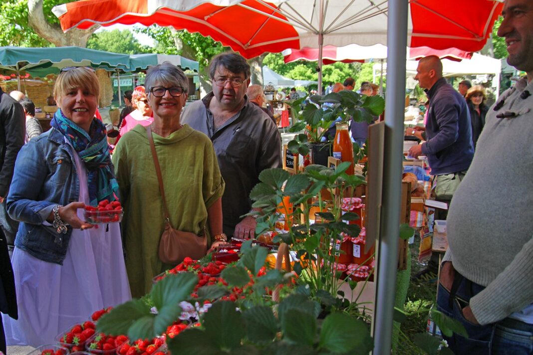 6eme-fete-de-la-fraise-un-rendez-vous-gourmand-incontournable-au-soler 6eme-fete-de-la-fraise-un-rendez-vous-gourmand-incontournable-au-soler