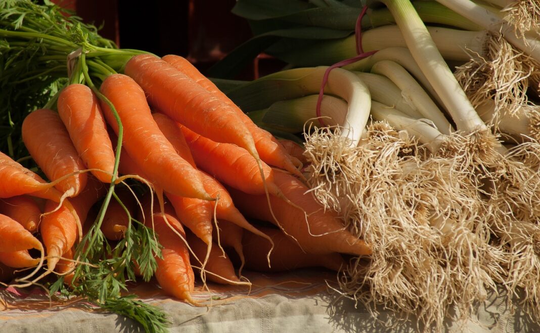 faites-du-jardinage-le-dimanche-7-mai-a-angoustrine-de-9h-a-18h 2 faites-du-jardinage-le-dimanche-7-mai-a-angoustrine-de-9h-a-18h