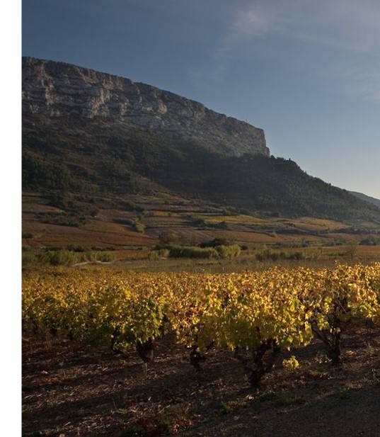 nouvelle-cuvee-co-signee-cazes-gardies